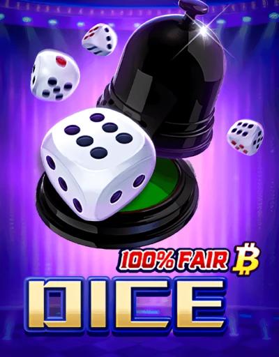 Dice